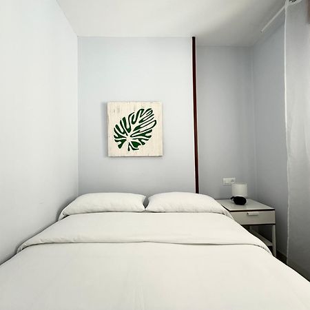 蒙福特·德·莱蒙斯Lemos Nube公寓 外观 照片